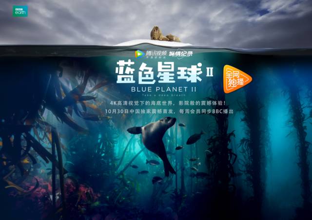 鹿与长夜剧照2